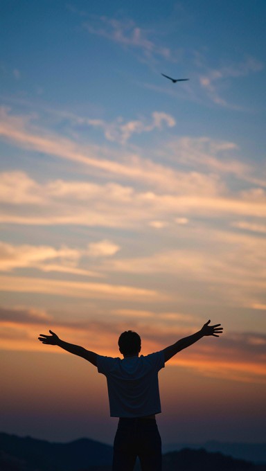 Free Embracing Complete Freedom Image - Freedom, Silhouette, Sunset ...