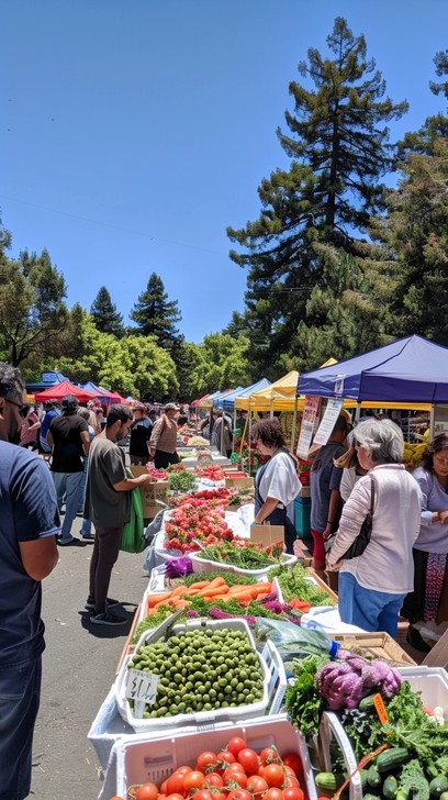 Free Outdoor Market Day Image - Market, Vegetables, Fruits | Download ...
