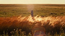 Free Misty Prairie Dawn Photo - Prairie, Grassland, Misty | Download at ...
