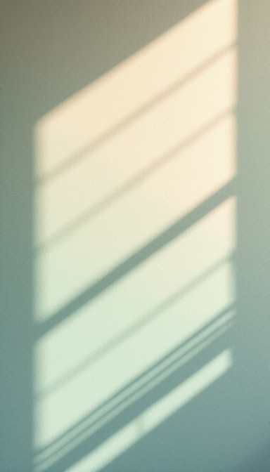 Free Sunlit Sage Shadow Image | Download at StockCake