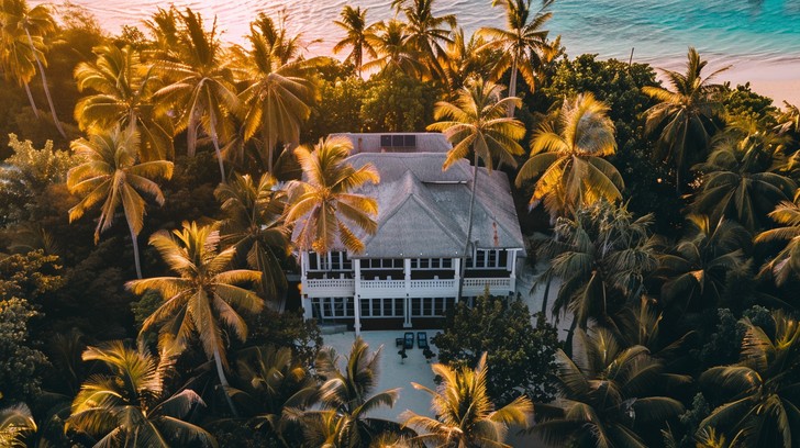 Free Tropical Beach Hideaway Image - Beachfront, Cabin, Palms ...