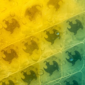 Free Rubber Duck Texture Image - Rubber, Duck, Texture | Download at ...