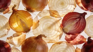 Free Translucent Onion Layers Image - Onion, Translucent, Pattern ...