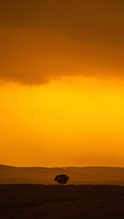 Free Golden Sky Drama Image - Landscape, Sky, Sunset | Download at ...