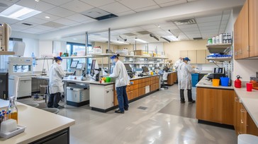 Free Modern Laboratory Activity Image - Laboratory, Scientists ...