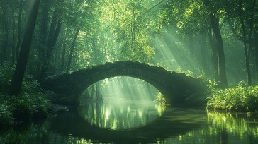 Free Serene Forest Bridge Image - Forest, Bridge, Stream | Download at ...