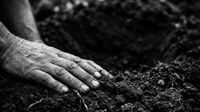 Free Grounding Through Touch Image - Hands, Soil, Earth | Download at ...