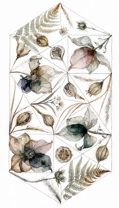 Free Caramelized Botanical Section Image - Watercolor, Botanical, Cross ...
