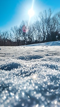 Free Sparkling Winter Sun Image - Winter, Snow, Sun | Download at StockCake