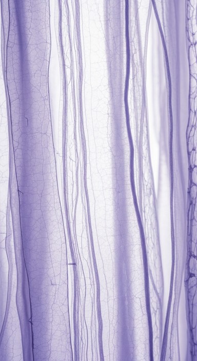 Free Lavender Translucent Layers Image - Lavender, Translucent, Layers ...