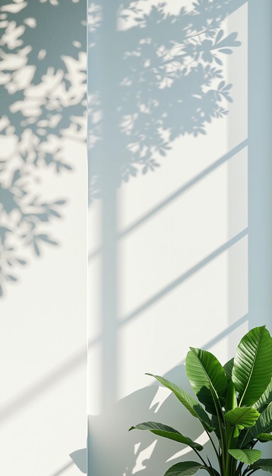 Free Plants Cast Shadows Image - Minimal, Botanical, Shadows | Download ...