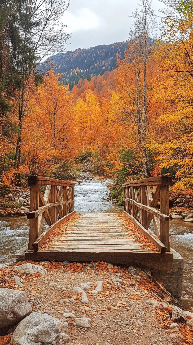 Free Autumn bridge view Image - Autumn, Bridge, River | Download at ...