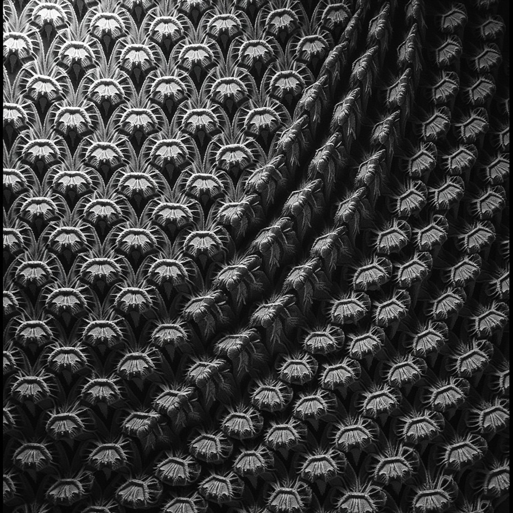 Free Cascading textured pattern Image - Pattern, Monochrome, Texture ...