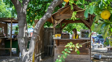Free Lemonade Stand Scene Image - Lemonade, Stand, Girl | Download at ...