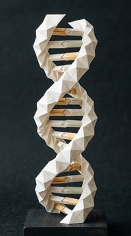 Free Paper DNA Sculpture Image - Origami, Dna, Helix | Download at ...
