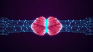 Free Glowing Muscle Circuit Photo - Pixel, Muscle, Glowing | Download ...